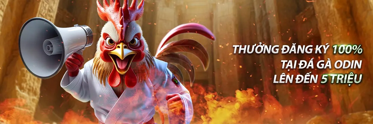 Khuyến Mãi MV66 Trang Chủ 2026 - Ưu Đãi Độc Quyền, Thưởng Lớn Mỗi Ngày!